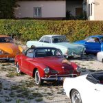 DSC 3980.JPG